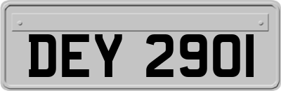 DEY2901