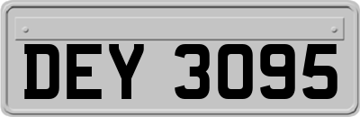DEY3095