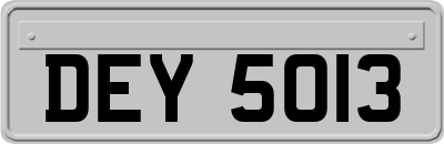 DEY5013