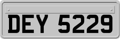 DEY5229