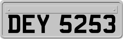 DEY5253