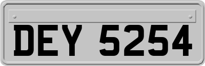 DEY5254