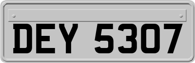 DEY5307