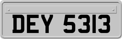 DEY5313