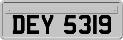DEY5319