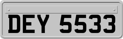 DEY5533