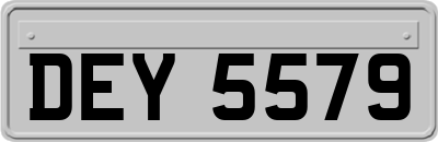 DEY5579