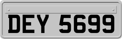DEY5699