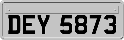 DEY5873