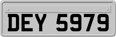 DEY5979