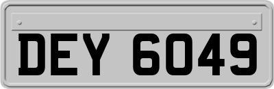 DEY6049