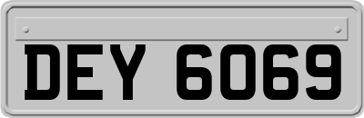 DEY6069