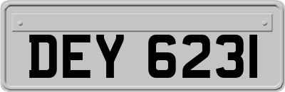 DEY6231