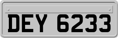 DEY6233