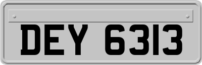 DEY6313