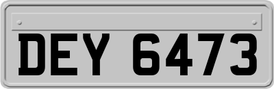 DEY6473
