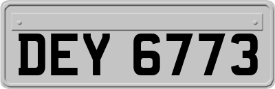 DEY6773