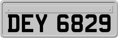 DEY6829