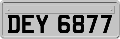 DEY6877