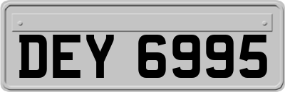 DEY6995