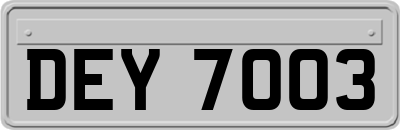 DEY7003