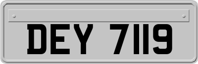 DEY7119
