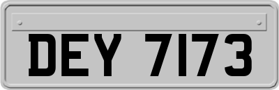 DEY7173
