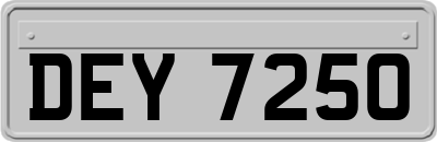 DEY7250