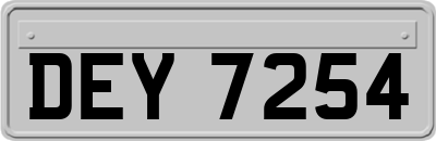 DEY7254