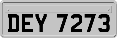 DEY7273