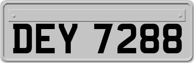 DEY7288