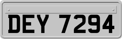 DEY7294