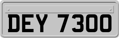 DEY7300
