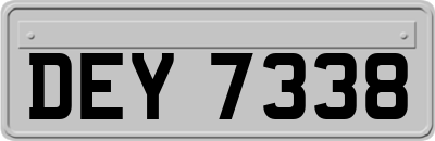 DEY7338