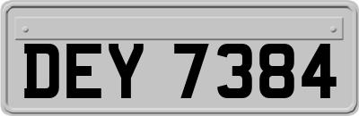 DEY7384