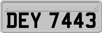 DEY7443