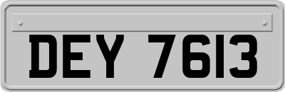 DEY7613