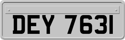 DEY7631