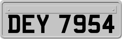 DEY7954