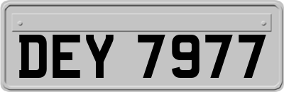 DEY7977