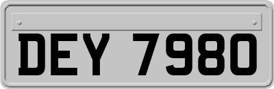 DEY7980