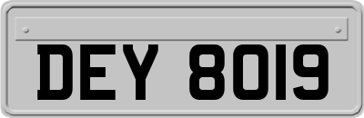 DEY8019