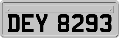 DEY8293