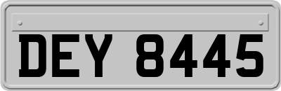 DEY8445