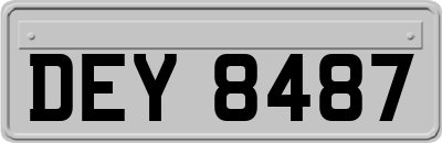 DEY8487