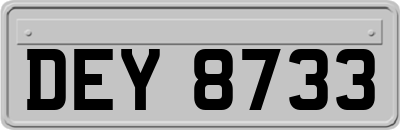 DEY8733