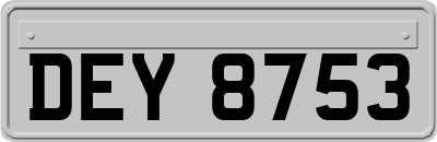 DEY8753