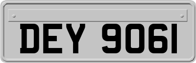 DEY9061