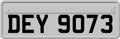 DEY9073