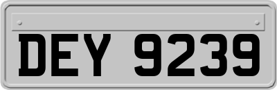 DEY9239